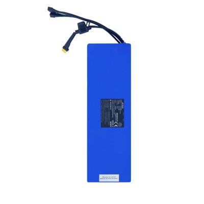 Batería 48V 13Ah para Smartgyro, Zwheel y similares