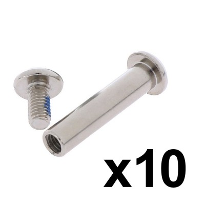 Tornillo de Bloqueo de 35 mm para mástil EcoXtrem Bison. Tornilllo Pliegue (Plata) (10 Uds)